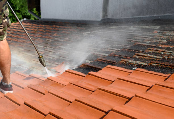 Best Exterior Home Cleaning  in Putnam Lake, NY